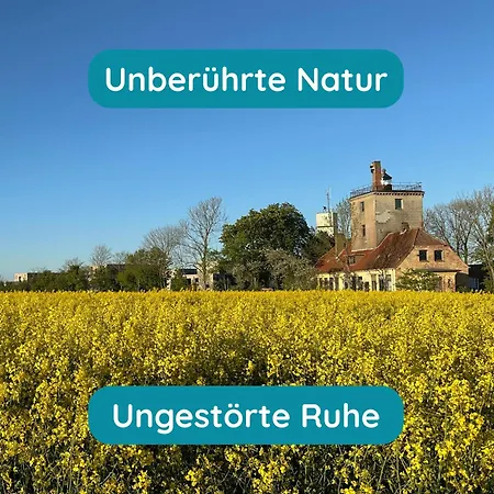 Meerglueck Am Beltblick - Mit Sauna, Blick Auf Ostsee Und Leuchtturm, Nur 150 M Zum 아파트